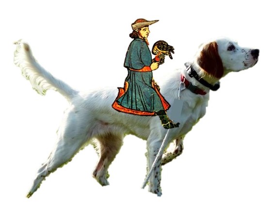 white English Setter with medieval falconer seated on her back