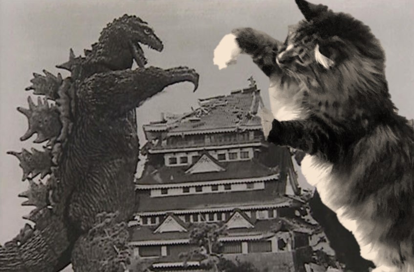 a giant fluffy cat play fights with Godzilla