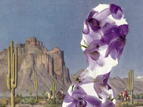 collage of woman with purple petals on her face against desert backgroun