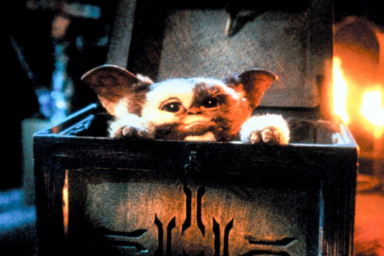 cute mogwai puppet in Gremlins
