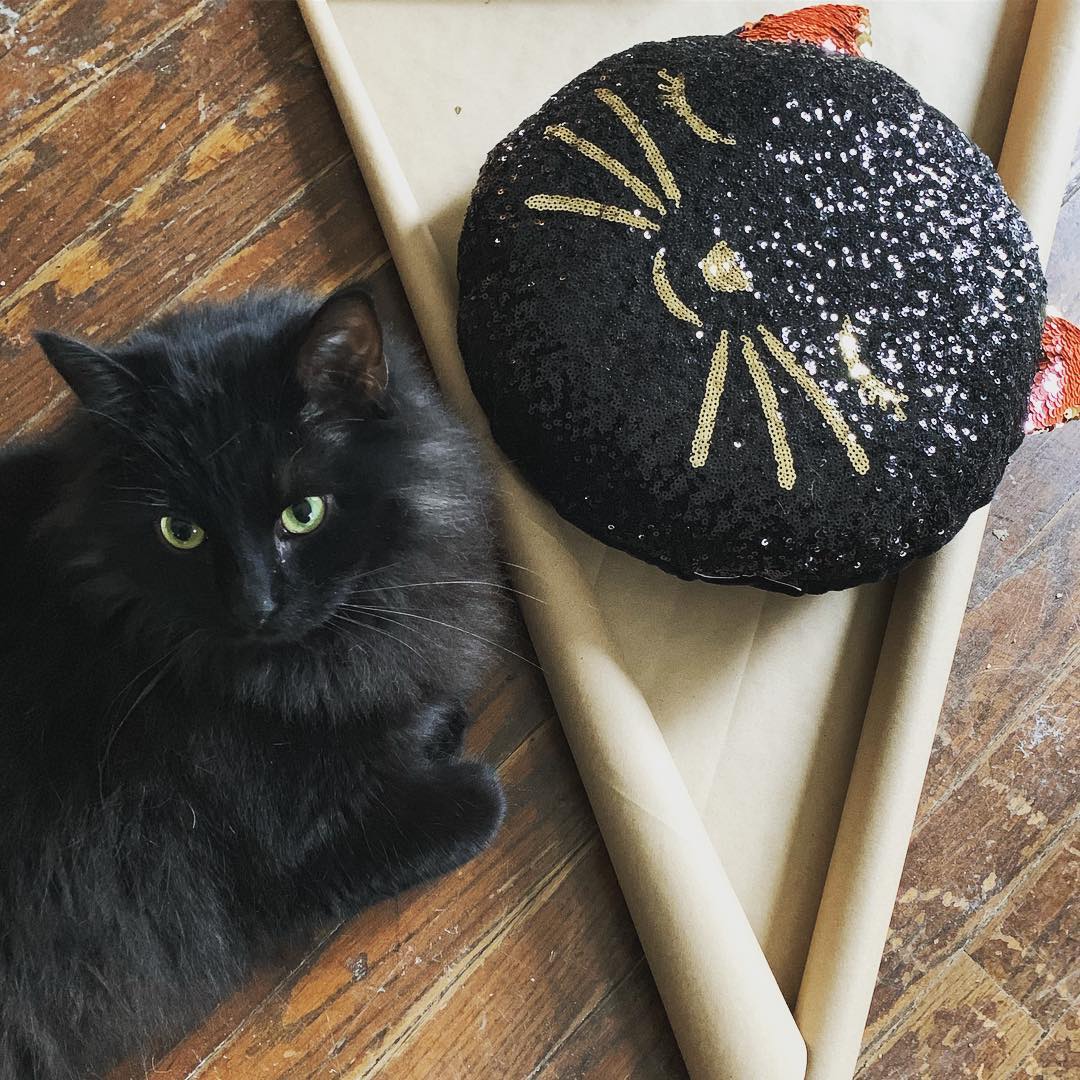 black cat lays next to a sequins pillow shaped like a black cat