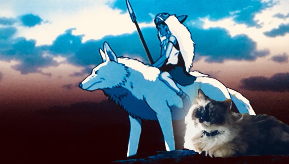 small fluffy cat sits next to San on a wolf in Princess Mononoke