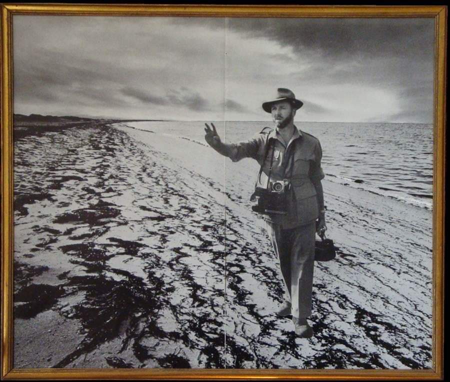 collage of man emerging from the ocean reaching towards the land