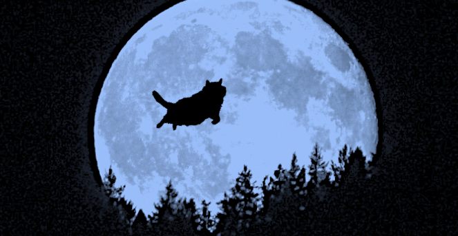 silhouette of cat flying above treetops in front of moon like Spielberg's E.T.